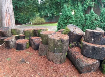 [Hearth.com] big leaf maple - worth it?
