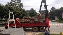 Grapple load of firewood logs uncut unsplit - $250    Cl find