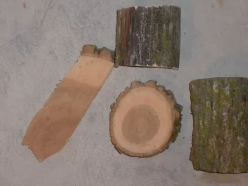 [Hearth.com] Help with Firewood ID