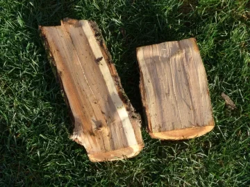 [Hearth.com] Help with Firewood ID