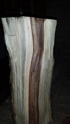 Please help ID this wood