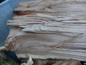 [Hearth.com] Help with Firewood ID