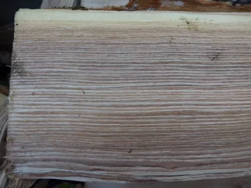 [Hearth.com] Help with Firewood ID