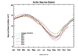 sea ice arctic.png