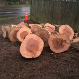 [Hearth.com] is this oak?