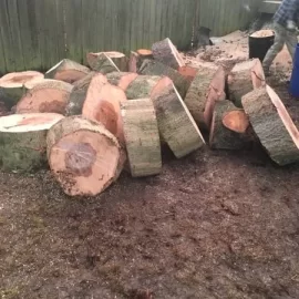 [Hearth.com] is this oak?