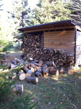 [Hearth.com] Stacking in the shed right after cutting .