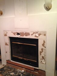 Chimney question- converting Zero clearance fireplace