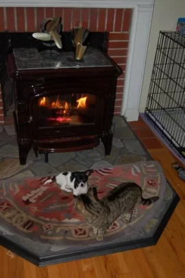 [Hearth.com] Lets see your "Best Friends"