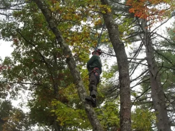 [Hearth.com] Well its been a busy day.  HI300 in..... and good friend and tree monkey (he is legit) takes a few t