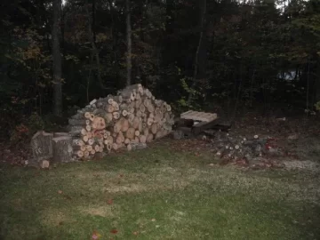 [Hearth.com] Well its been a busy day.  HI300 in..... and good friend and tree monkey (he is legit) takes a few t