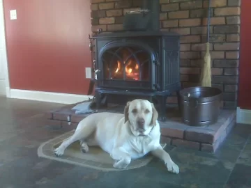 [Hearth.com] Lets see your "Best Friends"