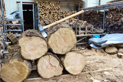 [Hearth.com] Found a bunch of oak!