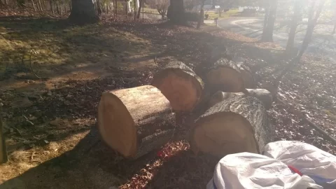[Hearth.com] Latest Score