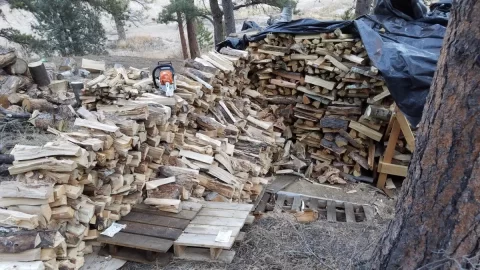 [Hearth.com] Brrrrrr, Hope You're Prepped ....