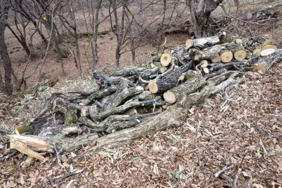 [Hearth.com] Found a bunch of oak!