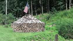 You might be a firewood junkie...