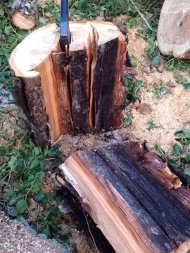 [Hearth.com] Weeping Cherry wood