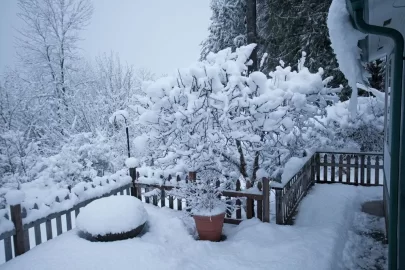 [Hearth.com] Brrrrrr, Hope You're Prepped ....