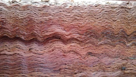 [Hearth.com] Gnarly Grain, Dude...