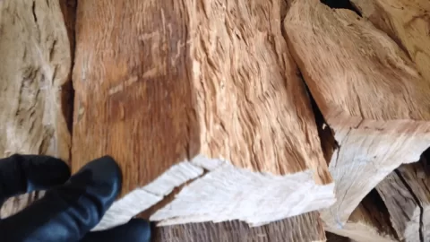 [Hearth.com] Gnarly Grain, Dude...