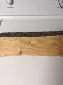 [Hearth.com] Wood id please