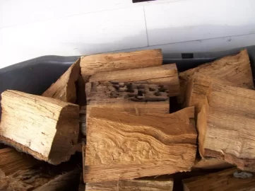 [Hearth.com] Gnarly Grain, Dude...