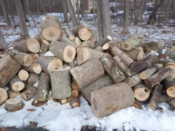 [Hearth.com] Just finished this... How much wood?