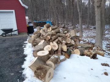 [Hearth.com] Just finished this... How much wood?