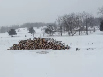 [Hearth.com] Firewood Porn
