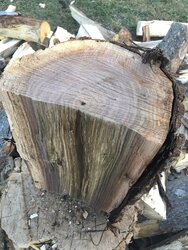 Another wood ID request