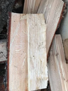 [Hearth.com] Was told this is pine