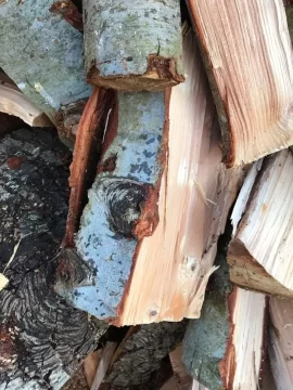 [Hearth.com] Was told this is pine