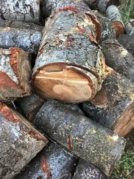 [Hearth.com] Was told this is pine