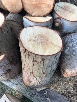 [Hearth.com] Was told this is pine