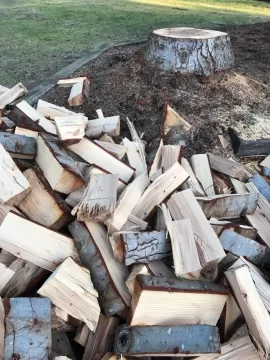 [Hearth.com] Was told this is pine