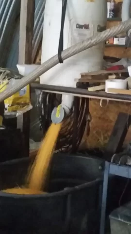 [Hearth.com] Let's talk Corn