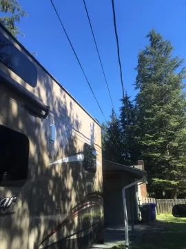[Hearth.com] Was told this is pine