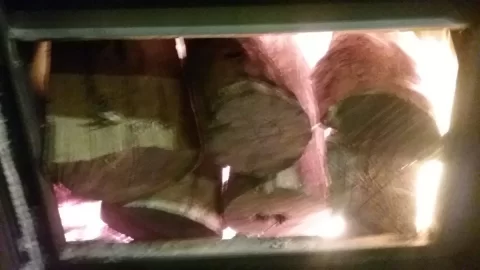 [Hearth.com] Heavy load of locust in the BK last night.