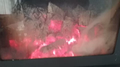 [Hearth.com] Heavy load of locust in the BK last night.