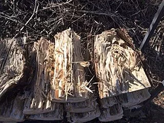 [Hearth.com] WOOD ID