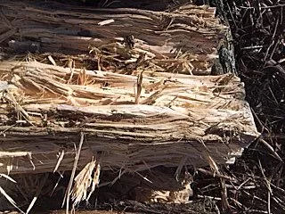 [Hearth.com] WOOD ID
