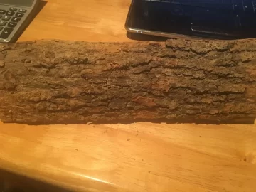 [Hearth.com] Wood id