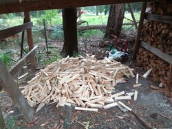 Filled the wood shed this week.