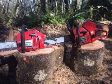 [Hearth.com] A bit of wood for next year