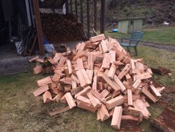 A bit of wood for next year