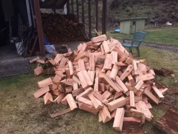 [Hearth.com] A bit of wood for next year