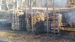 Mid-February, Wood Pile, and New Log Splitter