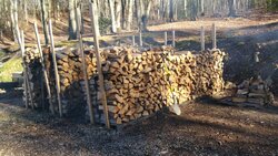 Mid-February, Wood Pile, and New Log Splitter