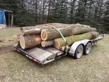 [Hearth.com] Free logs!